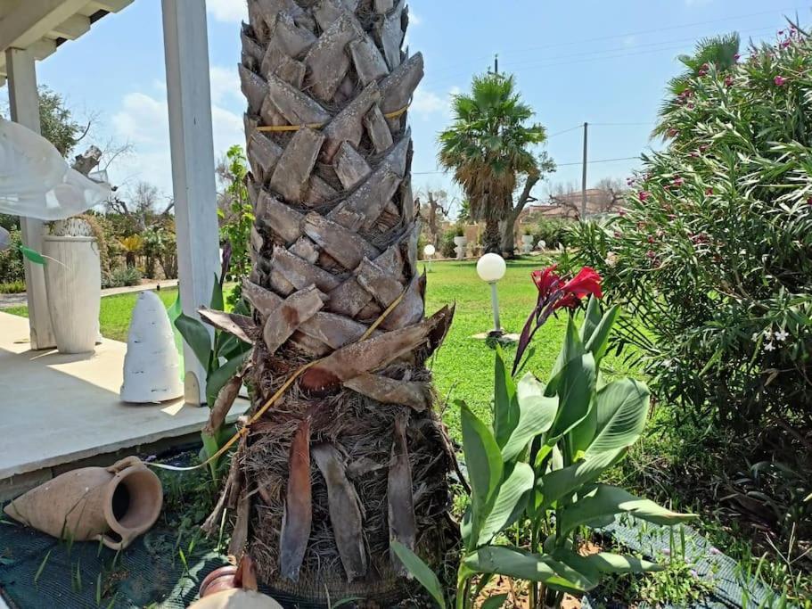Villa Delle Stelle Con Piscina レヴェラーノ エクステリア 写真